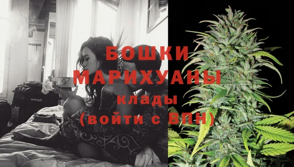 СК Бронницы