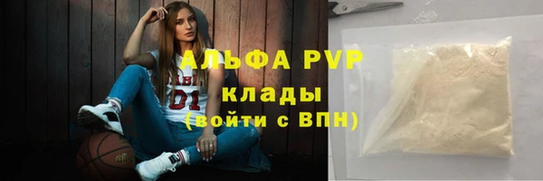 СК Бронницы
