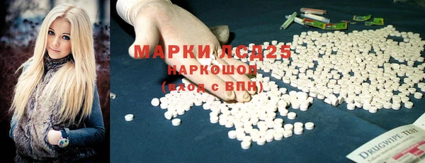 гидра Верея