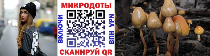 Псилоцибиновые грибы прущие грибы Шарья