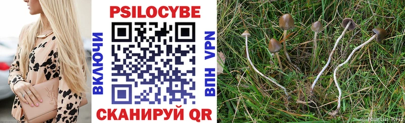 Псилоцибиновые грибы Psilocybine cubensis  Шарья 